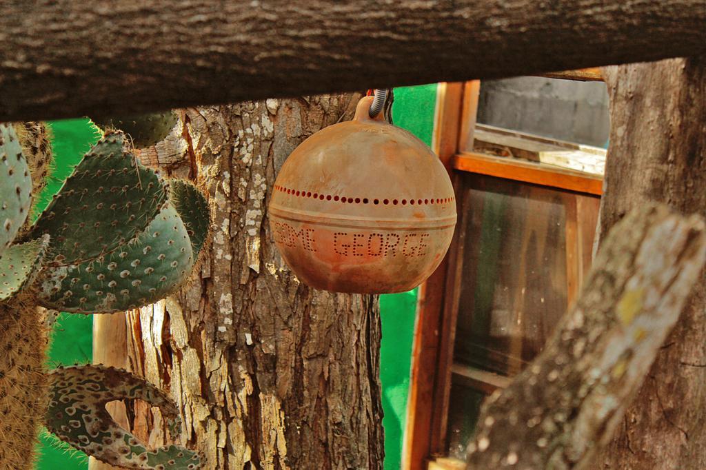 Lonesome George Ecolodge Puerto Ayora  Ngoại thất bức ảnh
