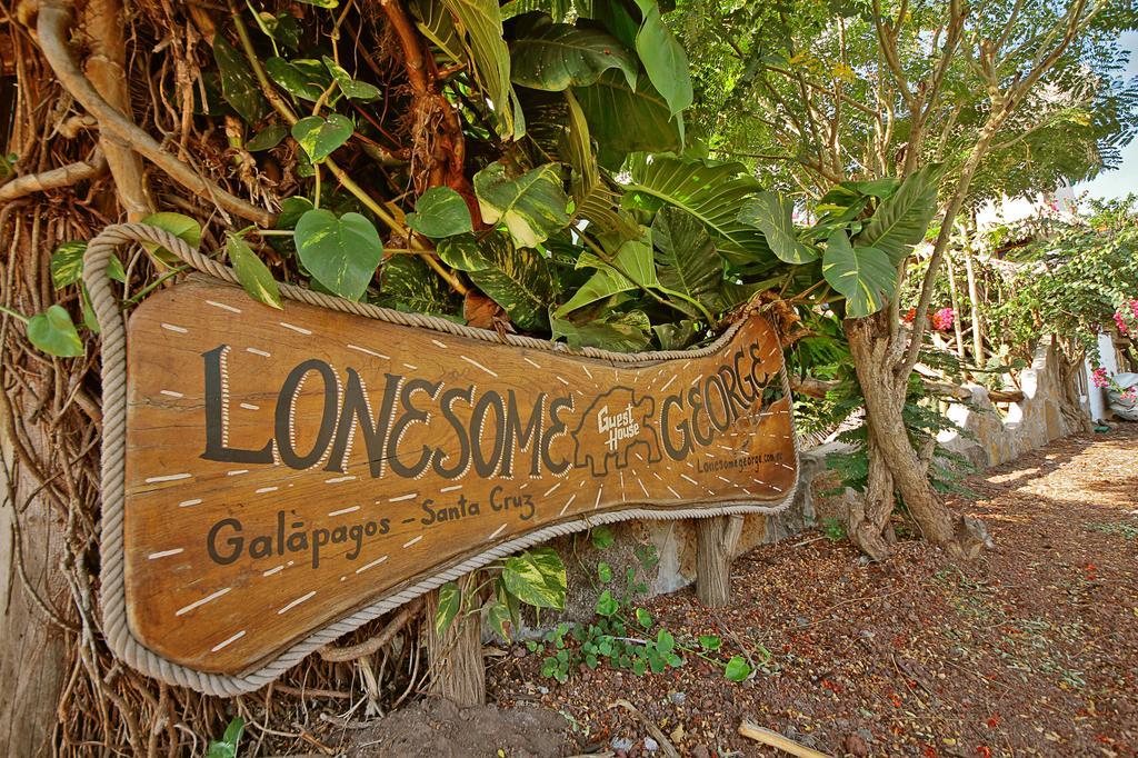 Lonesome George Ecolodge Puerto Ayora  Ngoại thất bức ảnh